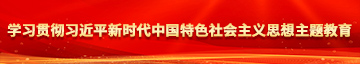 美女日BB学习贯彻习近平新时代中国特色社会主义思想主题教育